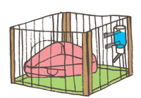 子犬のしつけ3