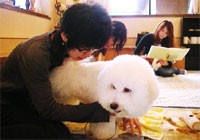 テキスト説明中