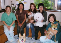 記念薩英