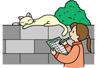 猫の習性を知ることから