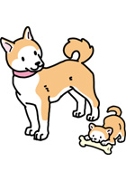 衛生的な環境で飼育