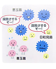 腸内環境が悪い時