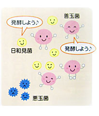 腸内環境が良い時