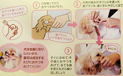 規則正しい睡眠