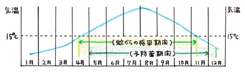 蚊の吸血期間とフィラリア予防の期間