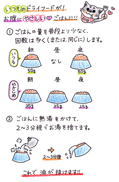 いつものドライフードをお腹にやさしいごはんにする方法