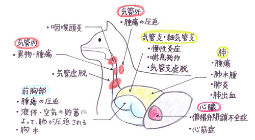 顕微鏡で確認