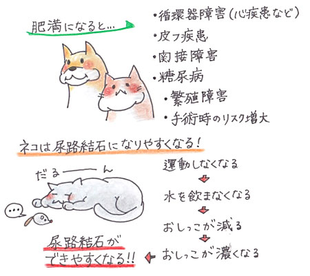 肥満のリスク