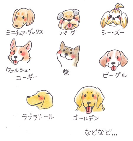 太りやすい体質の犬種