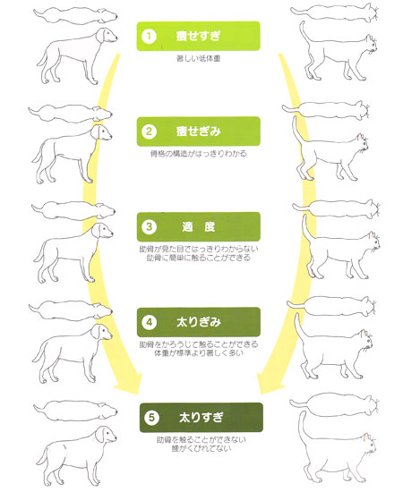 肥満の5段階評価(犬・猫共通)