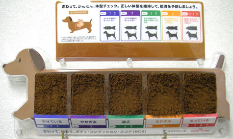 肥満の5段階評価
